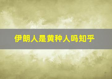 伊朗人是黄种人吗知乎