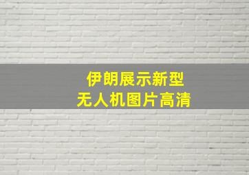 伊朗展示新型无人机图片高清