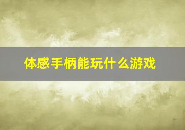 体感手柄能玩什么游戏