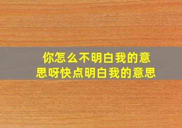 你怎么不明白我的意思呀快点明白我的意思