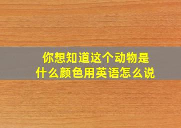 你想知道这个动物是什么颜色用英语怎么说