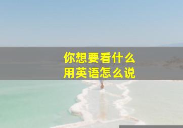 你想要看什么用英语怎么说