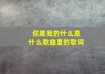 你是我的什么是什么歌曲里的歌词