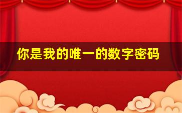 你是我的唯一的数字密码