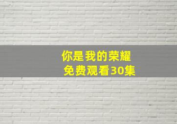 你是我的荣耀免费观看30集