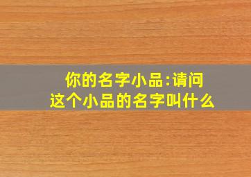 你的名字小品:请问这个小品的名字叫什么