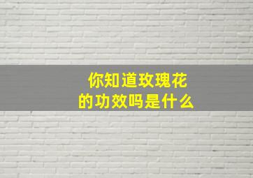 你知道玫瑰花的功效吗是什么