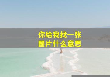 你给我找一张图片什么意思