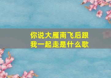 你说大雁南飞后跟我一起走是什么歌