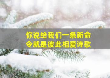 你说给我们一条新命令就是彼此相爱诗歌