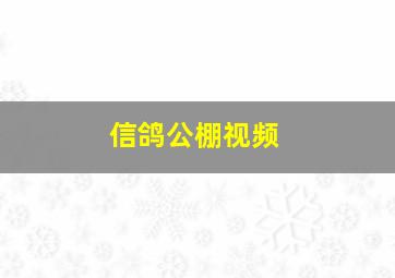 信鸽公棚视频