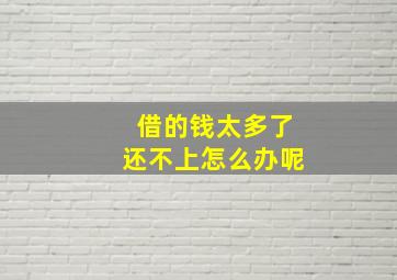 借的钱太多了还不上怎么办呢