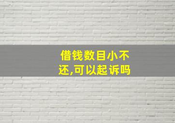 借钱数目小不还,可以起诉吗