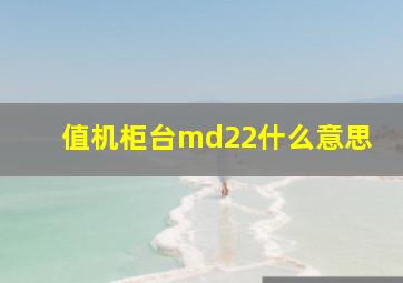 值机柜台md22什么意思