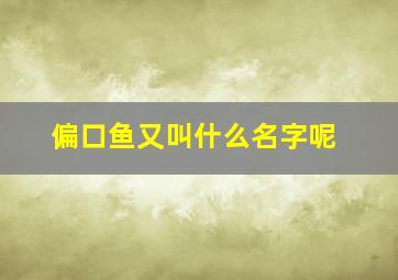 偏口鱼又叫什么名字呢