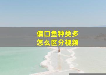 偏口鱼种类多怎么区分视频