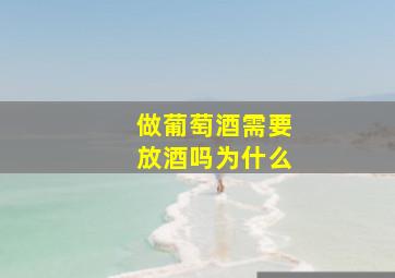 做葡萄酒需要放酒吗为什么