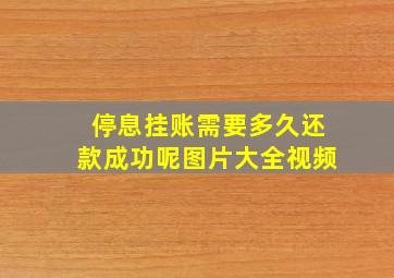 停息挂账需要多久还款成功呢图片大全视频