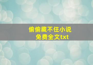 偷偷藏不住小说免费全文txt