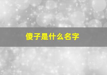 傻子是什么名字