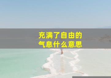 充满了自由的气息什么意思