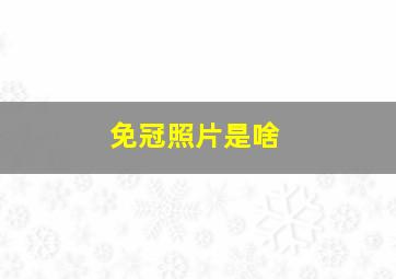 免冠照片是啥