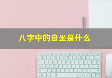 八字中的自坐是什么