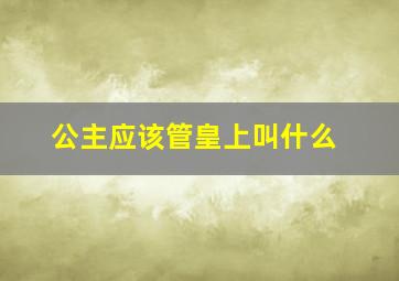 公主应该管皇上叫什么