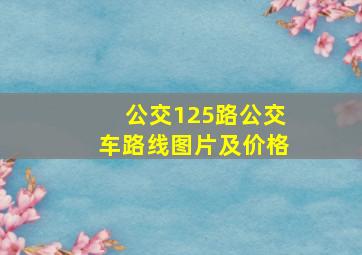 公交125路公交车路线图片及价格