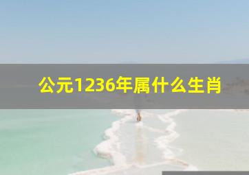 公元1236年属什么生肖