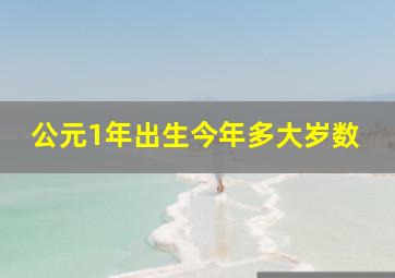 公元1年出生今年多大岁数