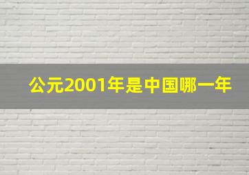 公元2001年是中国哪一年