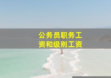 公务员职务工资和级别工资