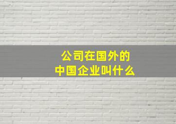 公司在国外的中国企业叫什么