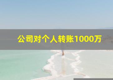 公司对个人转账1000万