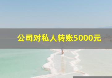 公司对私人转账5000元