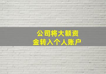 公司将大额资金转入个人账户