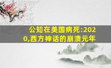 公知在美国病死:2020,西方神话的崩溃元年