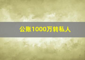 公账1000万转私人