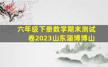 六年级下册数学期末测试卷2023山东淄博博山