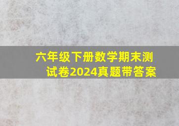 六年级下册数学期末测试卷2024真题带答案