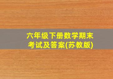 六年级下册数学期末考试及答案(苏教版)