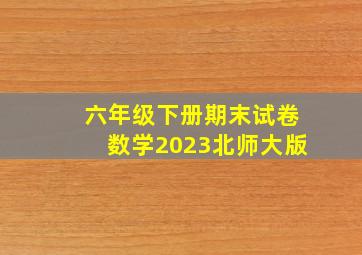 六年级下册期末试卷数学2023北师大版