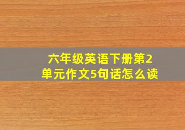 六年级英语下册第2单元作文5句话怎么读