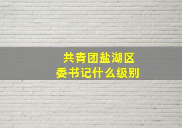 共青团盐湖区委书记什么级别