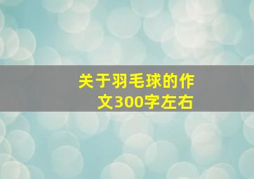 关于羽毛球的作文300字左右