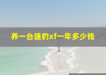 养一台捷豹xf一年多少钱