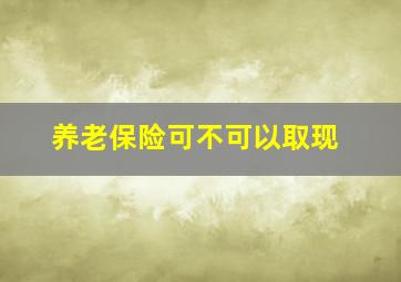 养老保险可不可以取现