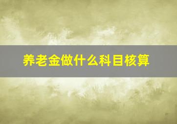 养老金做什么科目核算