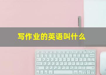 写作业的英语叫什么